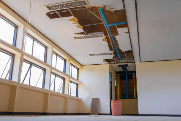 Best Professional water damage repair  in Springville, NY