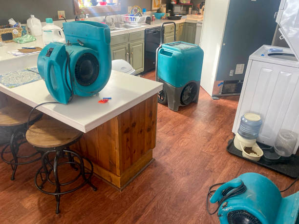 Best Water damage restoration company  in Springville, NY
