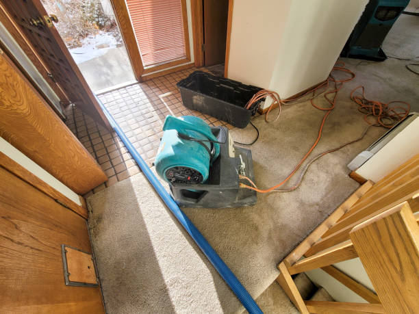 Sewage cleanup and water damage restoration in NY