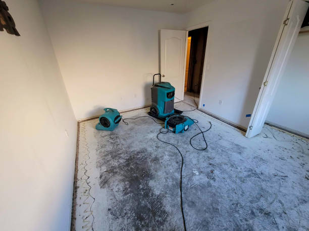 Best Water damage repair service  in Springville, NY