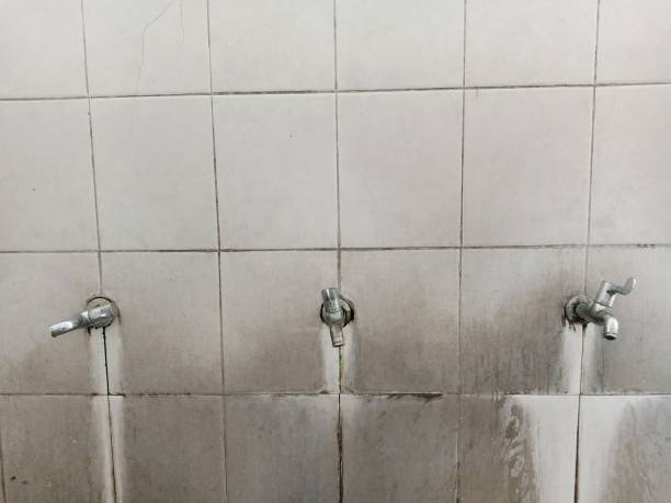 Best Commercial water damage restoration  in Springville, NY