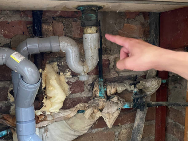 Best 24/7 water damage repair  in Springville, NY