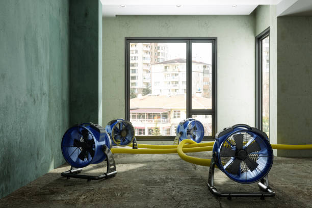 Best Flood restoration services  in Springville, NY