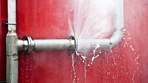Best Water damage restoration specialists  in Springville, NY